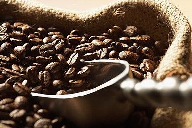 XGP 4月游戏公开：《幽灵线：东京》领衔