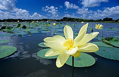 《上古卷轴4：湮灭重制版》首次降价促销 八折优惠